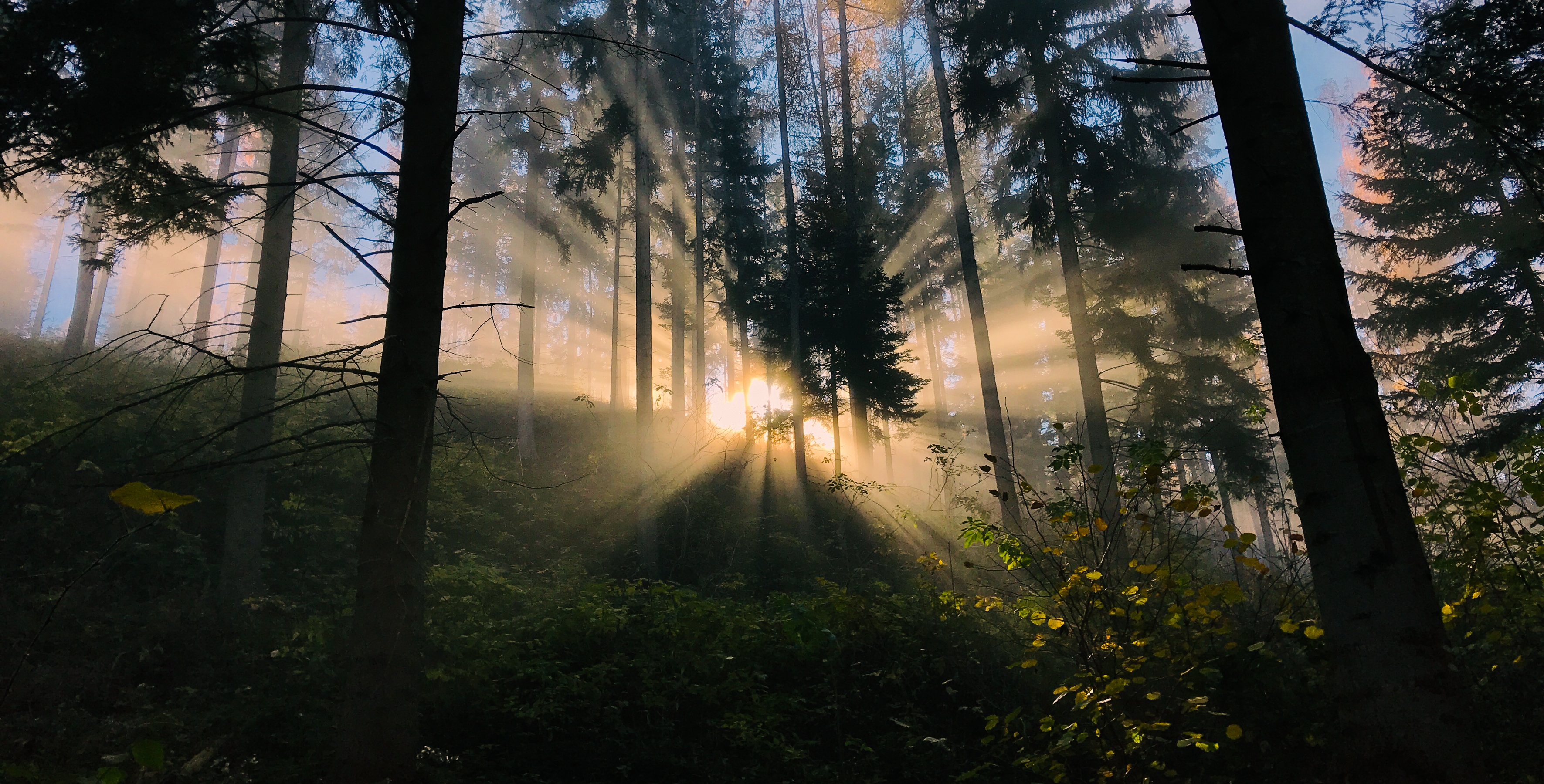 Der Weg ans Ziel beginnt mit dem ersten Schritt.